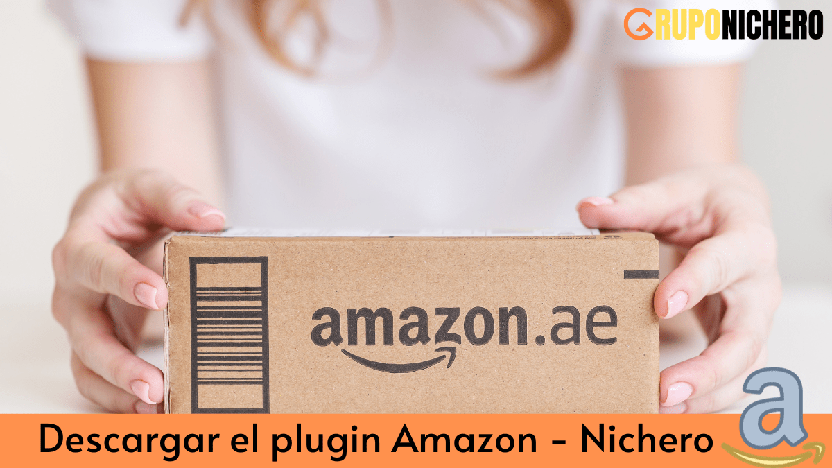 Plugin Amazon – Nichero